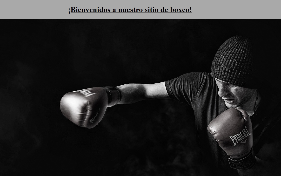 Proyecto 1